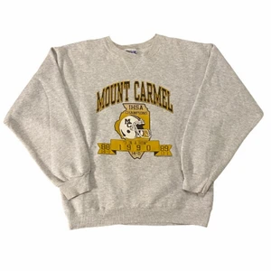 Mount Carmel IHSA Champions sweatshirt - Otroligt snygg vintage sweatshirt i bra skick, prutbar!