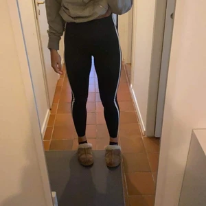 Casall tights - Helt oanvända casalltights. Mörkgråa / svarta med vit kant. Höga i midjan. Deras high waist compression tight. Storlek 40 men sitter som en 38. Kostar runt 1100kr nytt och jag säljer för 500kr. Priset kan diskuteras vid snabb affär