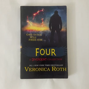 BOK Four Veronica Roth Engelska - En spännande YA bok på engelska. ✨ nyskick ✨ Ställ gärna frågor eller för fler bilder! 