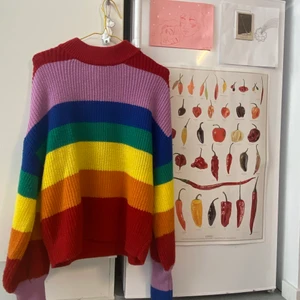 Regnbågsmönstrad tröja - från Monki! möts endast upp i sthlm💞