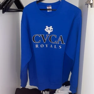 Blå sweatshirt i storlek L - Bra skick, knappt använd, säljer pga för stor 