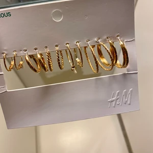 Nya örhängen  - Säljer dessa as snygga, helt nya och oanvända örhängen från hm, säljer pga att det skulle vara en present som sedan inte blev av, pris kan diskuteras ✨⚡️