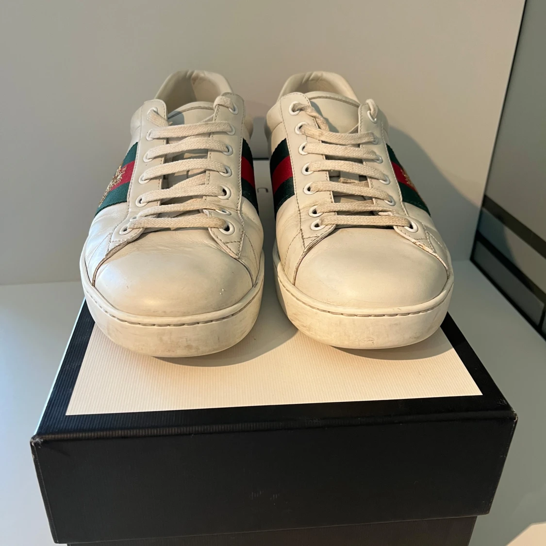 Gucci ace  - 1
