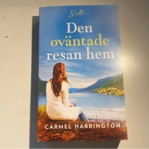 Den oväntade resan hem - En roman om familjen Guinness där hemligheter, sorg och hopp vävs samman under en roadtrip genom Europa. Boken utforskar relationer, förlust och att hitta hem igen. Perfekt för dig som gillar gripande berättelser om familj och kärlek.