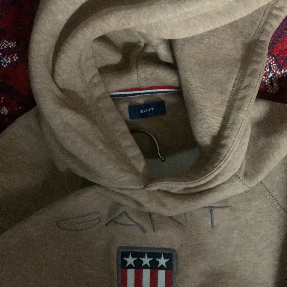 Beige hoodie från GANT med logga - 1