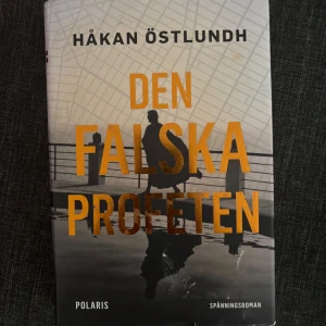 Den falska profeten - Thriller om Elias, som efter en skottskada får ett nytt utseende och infiltrerar ett skumt affärsimperium. Fylld av action, moralisk tvekan och oväntad kärlek.