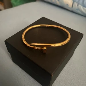 Catier Bracelet Nail - Snyggt guldigt armband med unik spikformad design som ger en cool och modern vibe. Perfekt för dig som gillar statement-smycken och vill sticka ut lite extra. Armbandet är stilrent och passar till många olika looks.