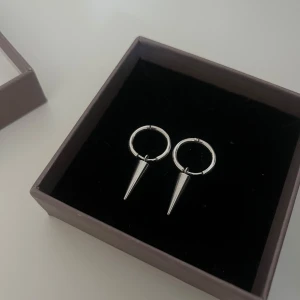 Silvriga örhängen från Edblad - Säljer ett par silvriga örhängen i blankt rostfritt stål. De har en rund ring med en spetsig spike-hängare, perfekt för dig som gillar edgy stil. Nickelsäkra och vattentåliga, diameter på ringen är 16 mm. Kommer i orginal ask. 
