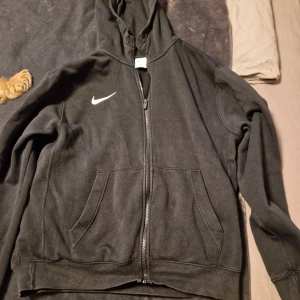 Samling av tröjor från olika märken - En samling av tröjor från märken som Kenzo, Levi's, Calvin Klein, Gant, Adidas, och Champion. Flera olika färger och stilar, inklusive tryck och broderade detaljer. Perfekt för den som vill ha variation i garderoben.