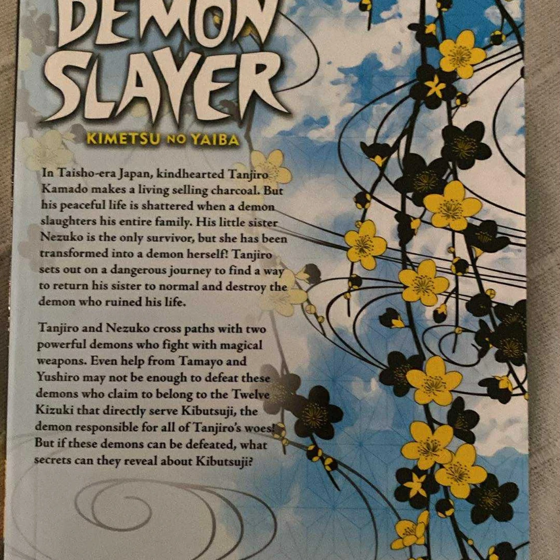 Demon Slayer: Kimetsu no Yaiba Vol. 1-5 - 2