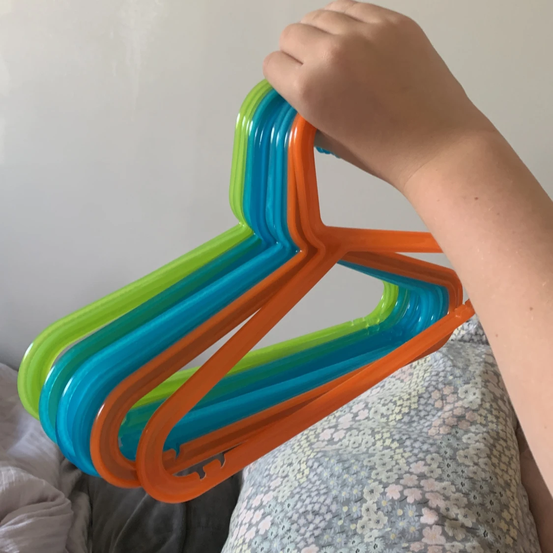 Galgar som är färgglada i orange grön och blå - 1