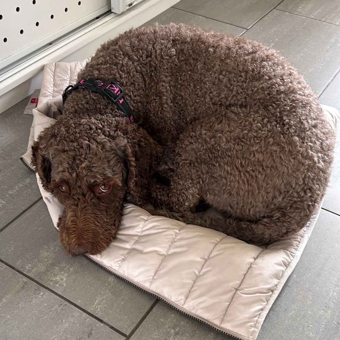 Beige Guess väst - 3