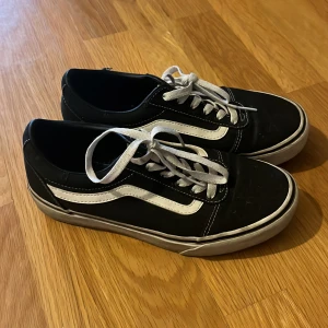 Vans  - Vans Old Skool i storlek 38. 