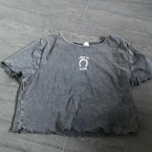 Grå croppad t-shirt från Divided H&M - Säljer en grå croppad t-shirt från Divided H&M med trycket 'Just in Luck' och en hästsko på framsidan. T-shirten har korta ärmar och en avslappnad passform. Perfekt för en casual look och lite mer för häst tjejerna!☺️🙏