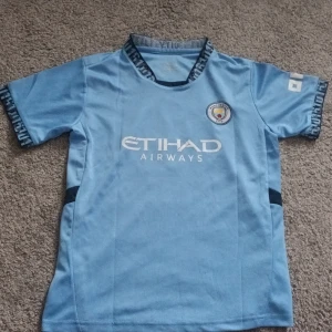 Ljusblå fotbollströja med tryck - Säljer en ljusblå fotbollströja från Puma med korta ärmar och tryck på både fram- och baksidan. Tröjan har ett klubbmärke på bröstet och sponsorlogga. Perfekt för fotbollsfans!