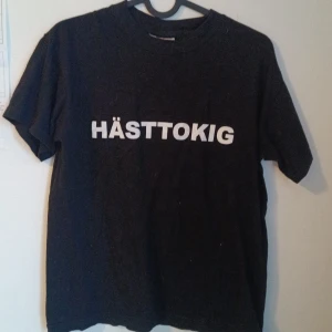 Svart t-shirt med texten HÄSTTOKIG från Graphix - Svart t-shirt med vit tryckt text 'HÄSTTOKIG' på bröstet. Klassisk rund hals och korta ärmar. Perfekt för dig som älskar hästar och vill visa det med stil.