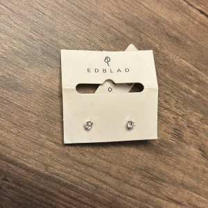 Edblad örhängen - Jättefina örhängen från edblad💕