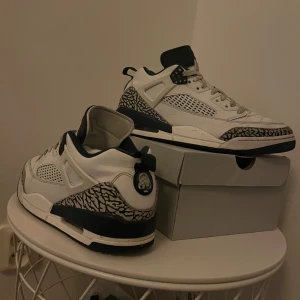Nike Air Jordan 3 (spizike edition) - Säljer Nike air Jordan 3 spizike edition använd i en månad men fortfarande i ganska bra skick
