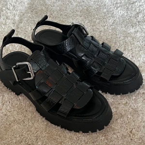 Svarta sandaler med spänne - Snygga svarta sandaler med ett coolt krokodilpräglat mönster och robust sula. De har ett justerbart spänne i silver och flera remmar för en unik look. Perfekta för att ge din outfit en edgy touch.