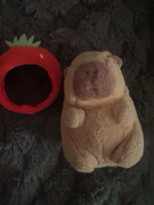 Capybara keychain - Är osäker på märket men köptes på en popup store. Den har ett litet hål bakom örat vilket jag inte visste när jag köpte den, man kan inte se hålet eftersom jordgubbs mössan täcker det.