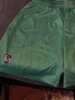 Gröna sportshorts med nummer 7 - Säljer ett par gröna sportshorts med resår i midjan och tryckt nummer 7 på ena benet. Shortsen har även en liten logga på andra benet och är perfekta för dig som gillar att röra på dig. Lätta och bekväma för träning eller match.