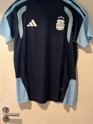 Argentina tränings kit 2026 - Ett argentina tränings kit med T-shirt + shorts med fickor, storlek L helt nytt 