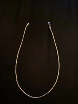 Silvrigt ormkedjehalsband - Säljer ett stilrent halsband i ormkedjemodell med silvrig färg. Halsbandet har en enkel och modern design med smidig låsning. Perfekt för att bära som det är eller kombinera med berlocker för en personlig touch.