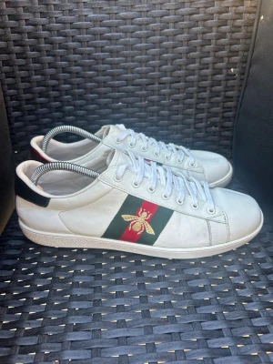Gucci Ace Bee Skor - Gucci Ace Bee Snakers | Innersula= 27,5 cm |Skick: 8,5 /10 | Nypris 9000  kr |  Dustbag och kortet ingår | Skriv vid minsta fundering | Skickas 24 h inom köp |