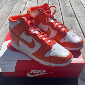 Nike Dunk High Syracuse (women) - Säljer ett par sprillans nya Nike Dunk High i färgen Syracuse. Aldrig använda. Det är womenstorlek men funkar även bra för man. Frakten ingår i priset men går även bra att mötas upp i Växjö eller Jönköping.☺️
