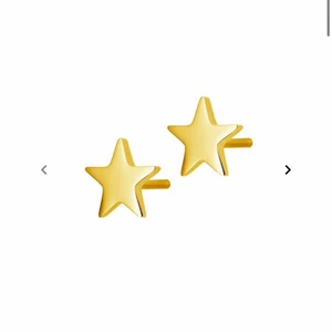 Edblad örhängen  - Jättesöta guldiga stjärn örhängen från Edblad. Aldrig använt, de är endast testade💕💕