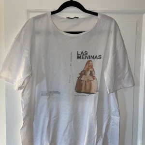 Zara t-shirt - En jättefin T-shirt från Zara som är i fint skick! Loose fit i storlek S så den skulle passa en M också💗 