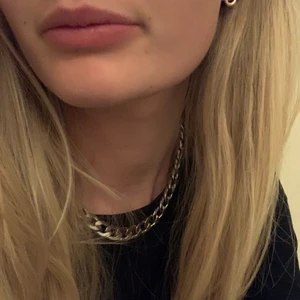 Halsband / Silverkedja  - Minns inte var jag köpte det men tror orginalpriset låg på ca 300 kr. Har inga synliga defekter och säljer pga att jag inte använder längre. Själva materialet tål väldigt mycket och har inte rostat eller ändrat färg trots att det har använts. 