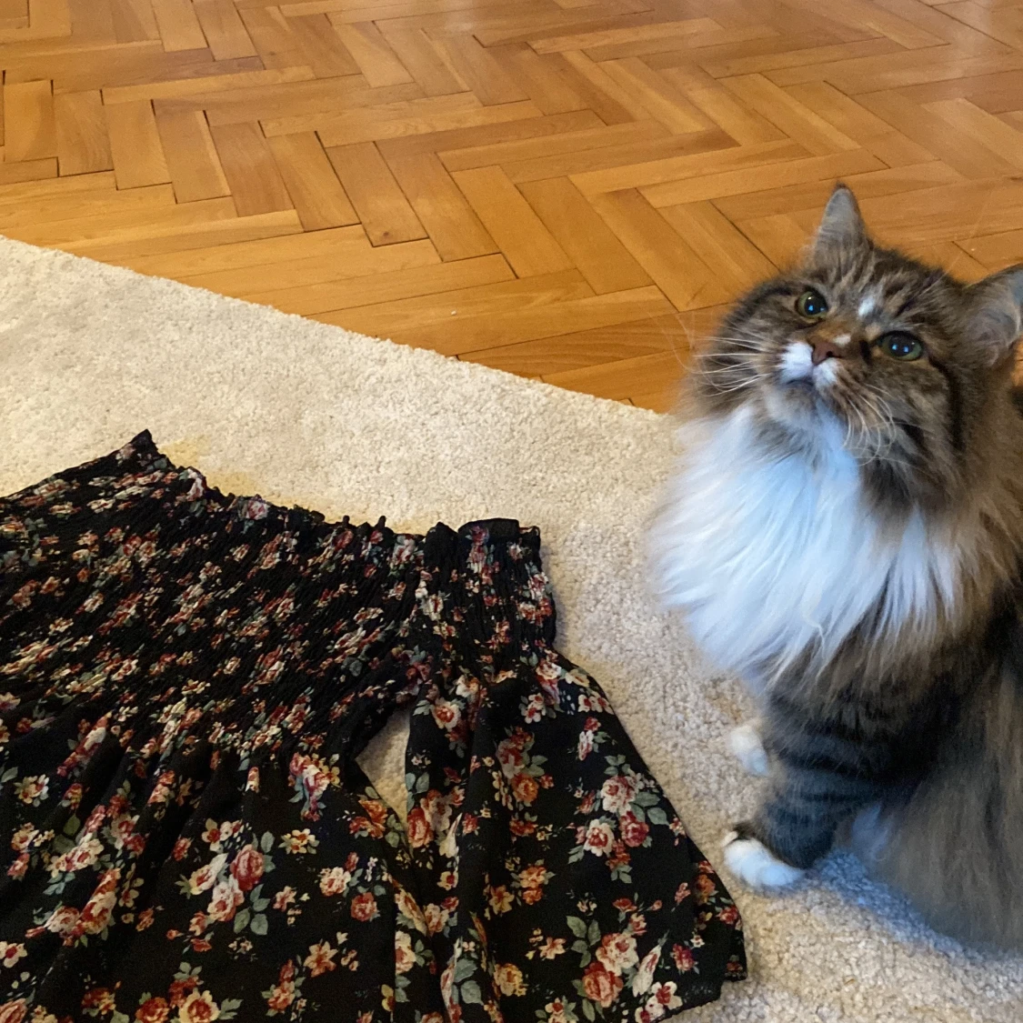 Boohoo Offshoulder blus - 91