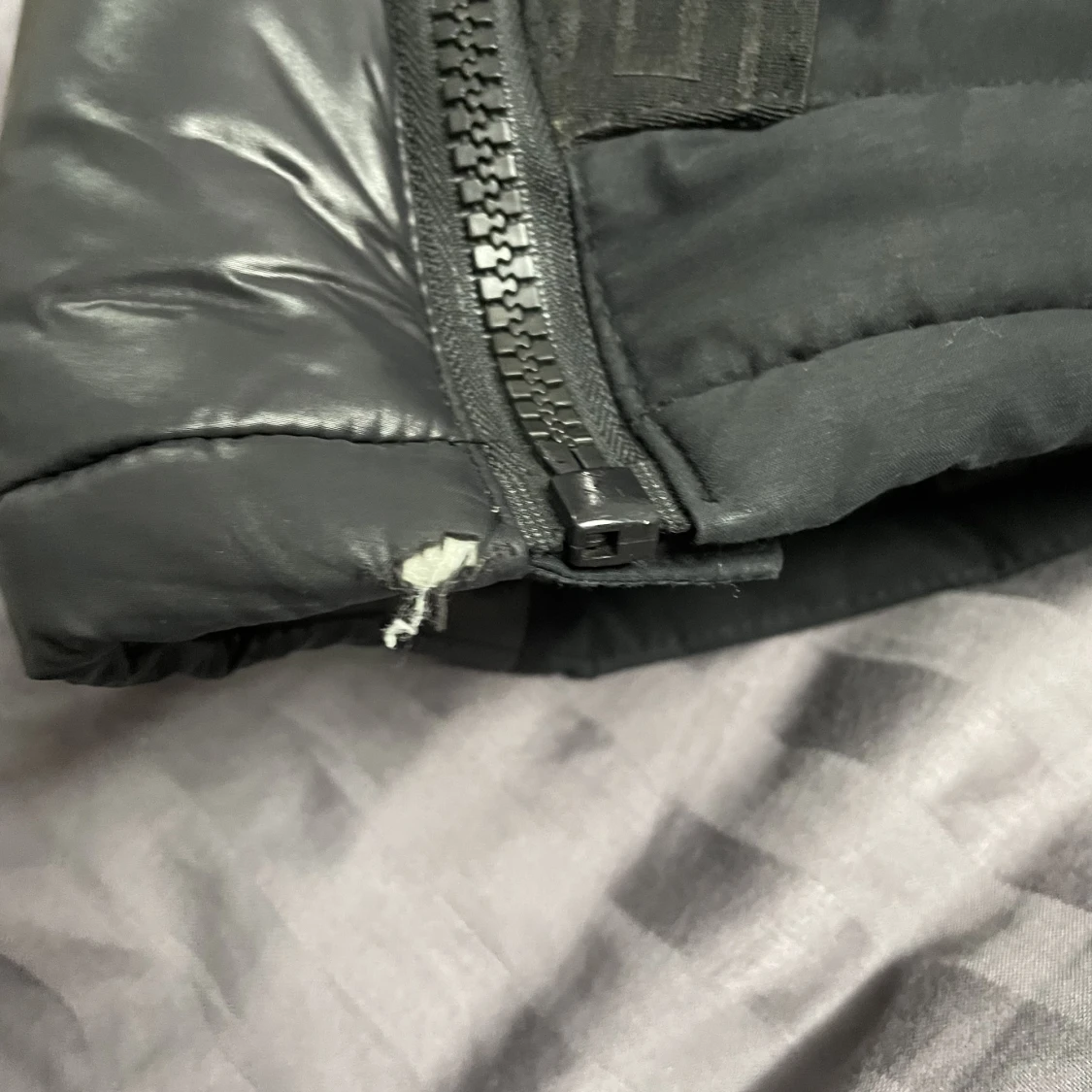 Glorious Gangsta jacka  - 91