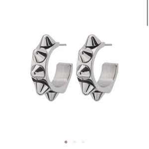 Edblad örhänge  - Säljer mina edblads örhängen som är helt oanvända, nypris 349 Tryck gärna på ”köp nu” 