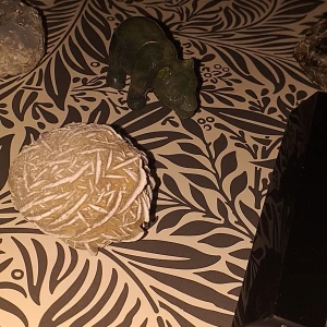 Kristaller - 50 kr - 100 kr kontakta mig för pris vid intresse