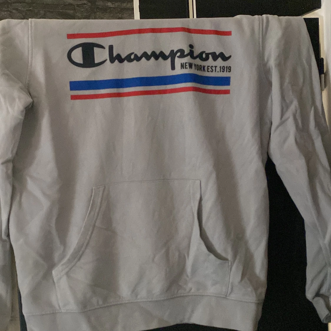 Champion hoodie