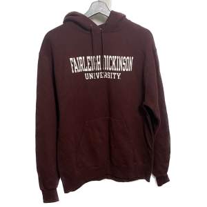 Vintage champion hoodie  Fairleigh Dickinson University 