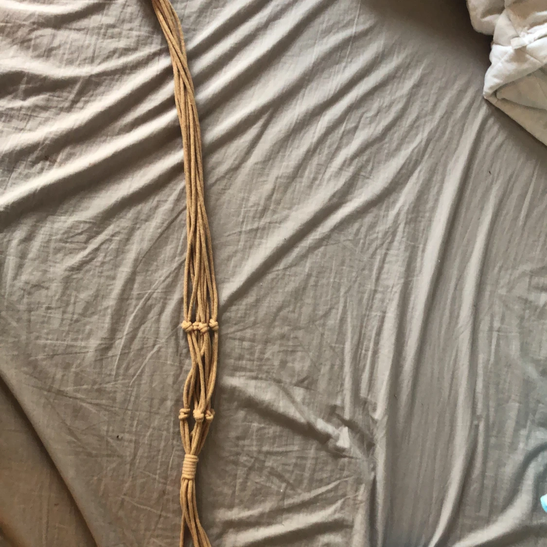 Växt hängare🪴🌱 - 90