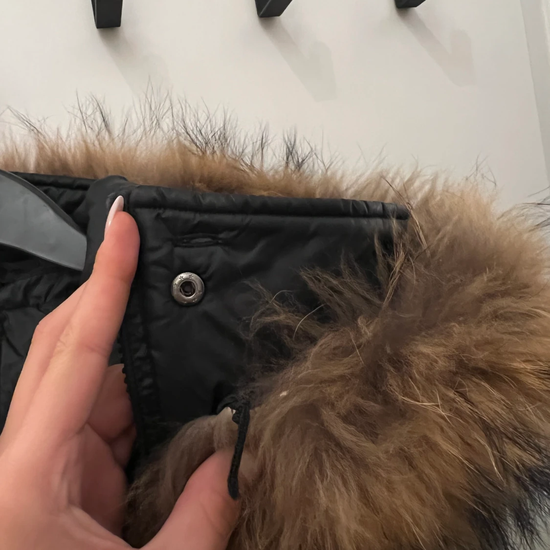 Hollies long cortina - 91