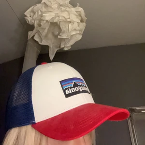 Patagonia keps  - Keps från patagonia som endast är använd 1 gång  Nypris 300kr/400kr