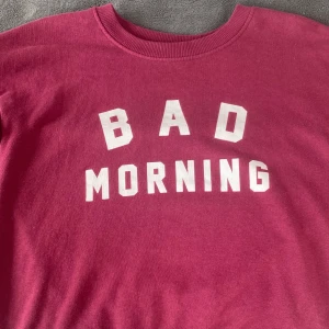 Röd Sweatshirt  - Säljer nu denna sweatshirt då jag inte använder den längre. Använd mycket men inget man ser på den så. Strl s och passar mig bra som brukar ha s