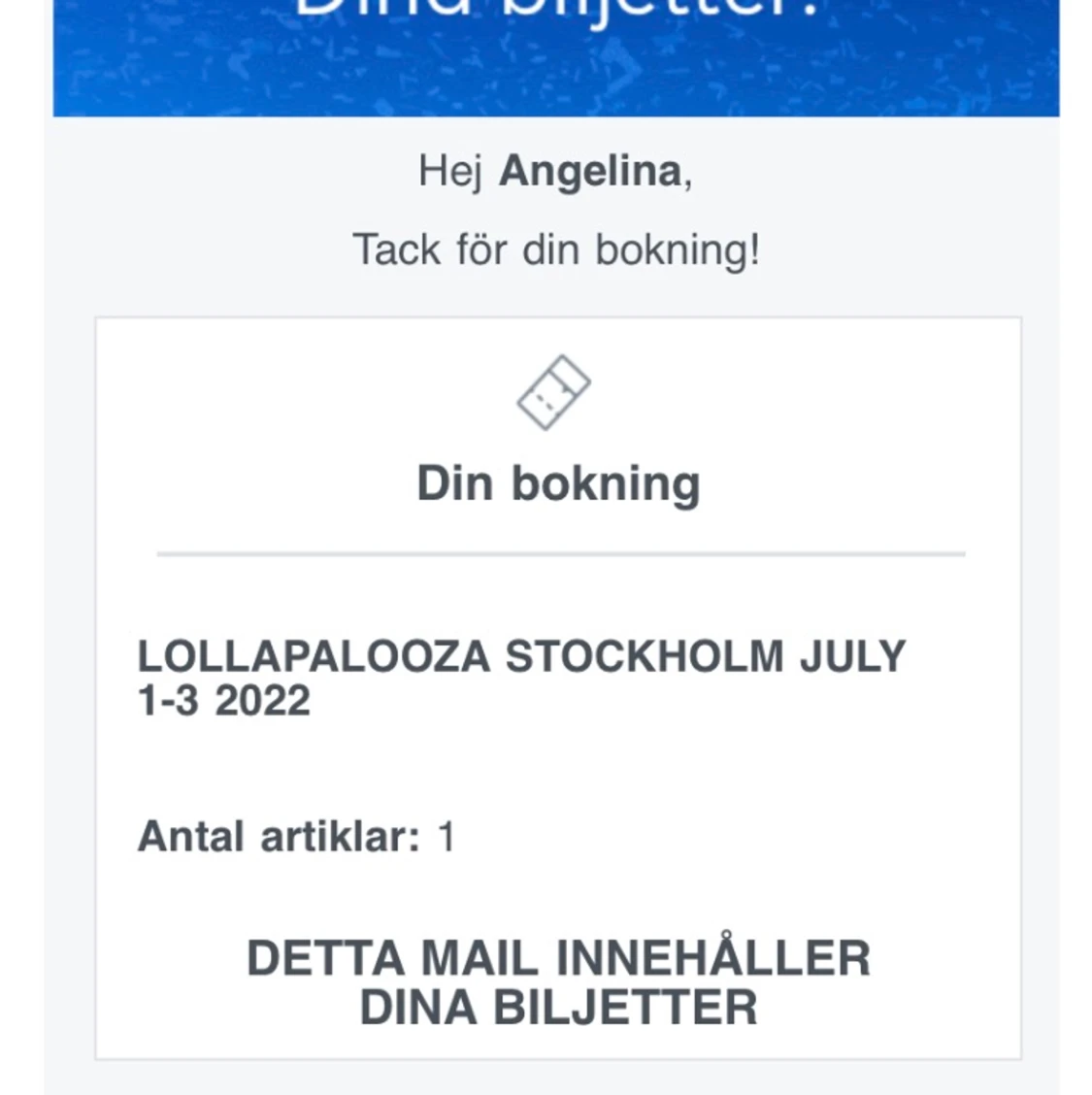 Lollapalooza lördag 2 Juli - 90