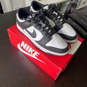Nike dunk panda - Endast testade.  Storlek 46. Men passar även 45