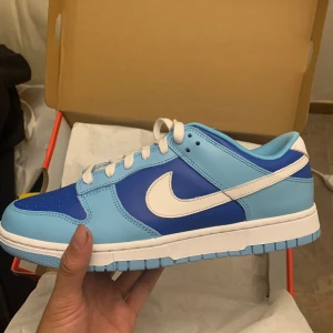 Nike Dunks Argon - Nike Dunks Argon storlek 9.5 US (43) Skick: Oanvänd, Jag köpte skorna på SNKRS app (följer med kvitto på köpet) 