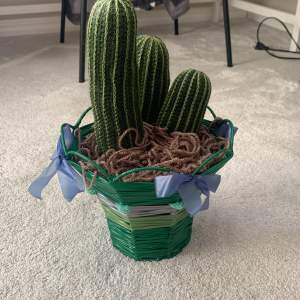 En kaktus som är stickad i en kruka.