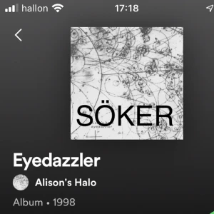Vinylskiva - SÖKER DENNA OVANLIGA VINYLSKIVA, KONTAKTA I FALL DU HAR ELLER VET VART MAN KAN KÖPA EN