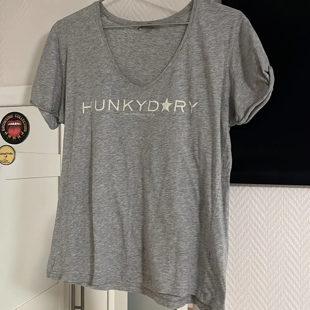 Grå t-shirt från hunky dory med stor logga . T-shirts.