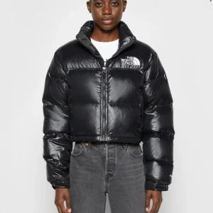 Svart dunjacka från The North Face - Snygg och varm svart dunjacka från The North Face, perfekt för kyliga dagar. Jackan har en kort modell med dragkedja och hög krage för extra skydd mot väder och vind. Har bara används 4 gånger så är i nyskick🥰