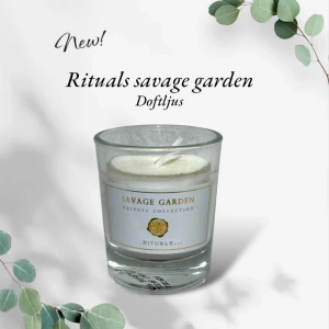 Nytt! Doftljus Savage Garden från Rituals - Nytt! Upptäck Rituals Savage Garden doftljus från deras Private Collection. Ljuset kommer i en elegant glasbehållare med en stilren etikett. Perfekt för att skapa en avkopplande atmosfär i hemmet. 25gr